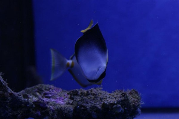 petsupply2 (Medium).jpg