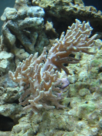 DSC00643.JPG