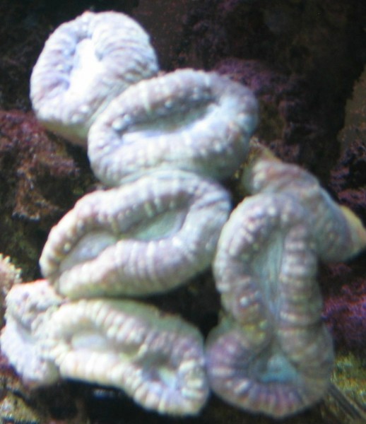 Billede 01712.jpg
