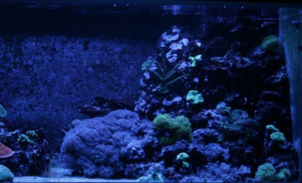 600 liter 003 (Medium).jpg