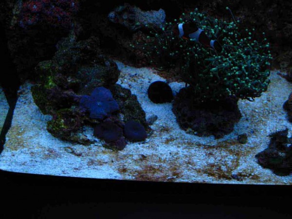 IMG_1411.JPG