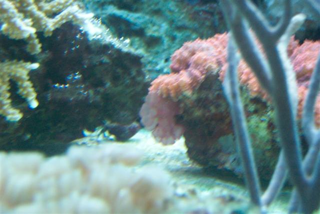 100_1862 (Small).jpg