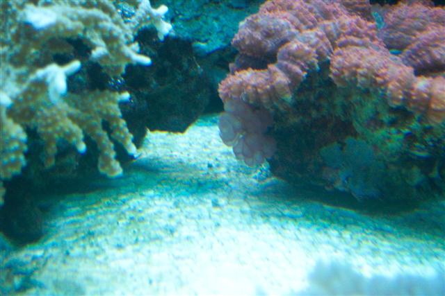100_1859 (Small).jpg