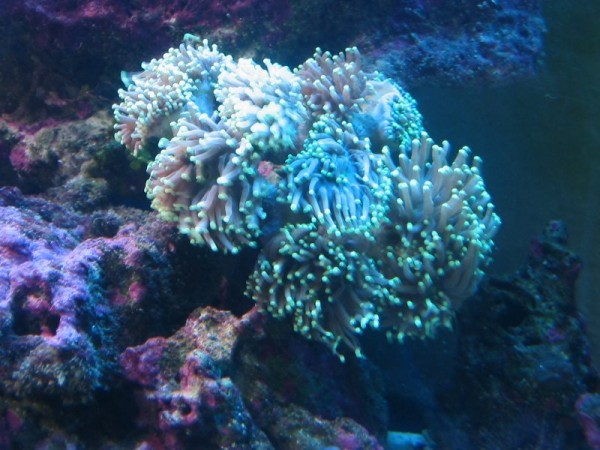 IMG_7871.JPG