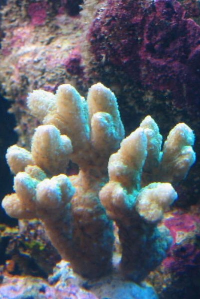 IMG_7878.JPG
