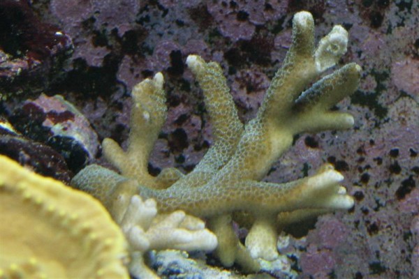 IMG_9845crop (Medium).jpg