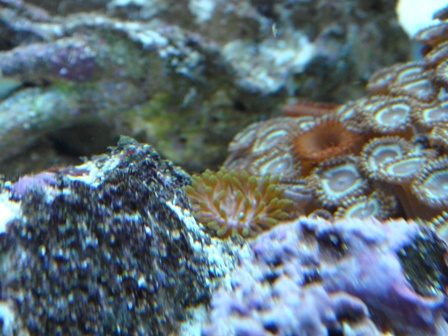DSC00705.JPG