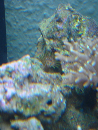 DSC00709.JPG