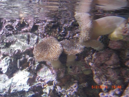 CIMG1609 (Small).JPG