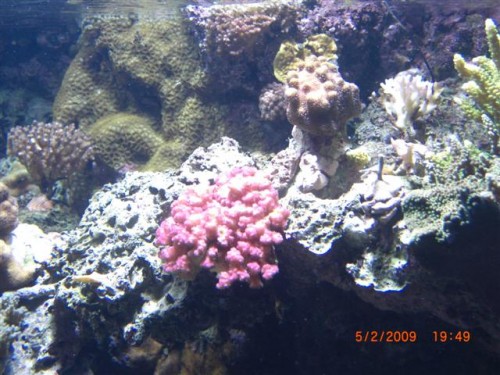 CIMG1611 (Small).JPG