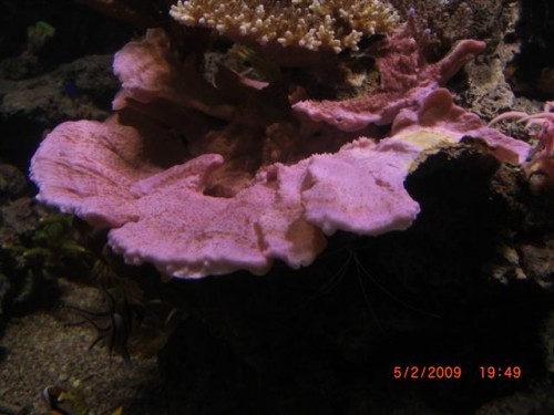 CIMG1615 (Small).JPG
