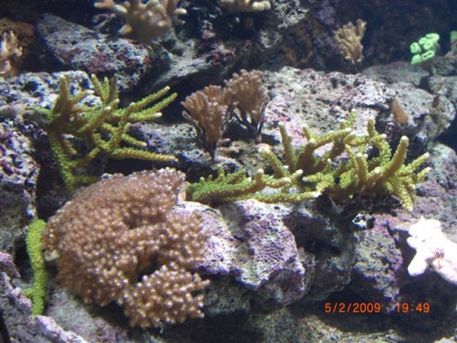 CIMG1617 (Small).JPG