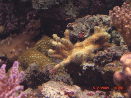 CIMG1619 (Small).JPG