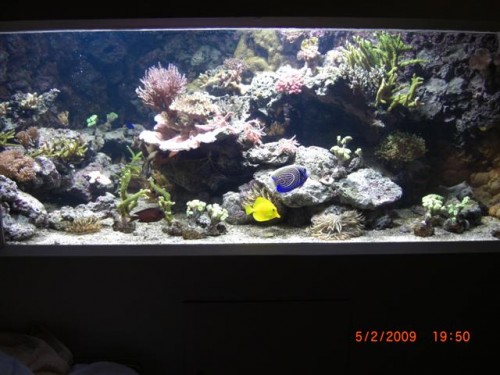 CIMG1620 (Small).JPG