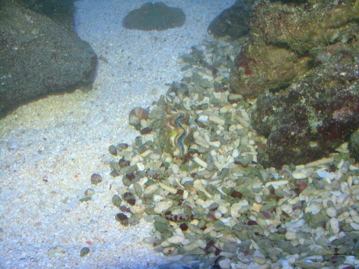 DSCF2209.JPG