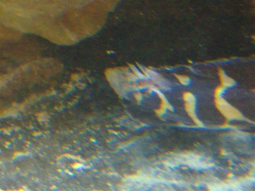 100220092096 (Large).jpg