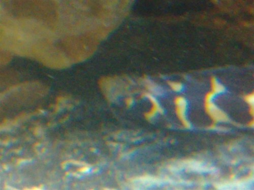 100220092098 (Large).jpg