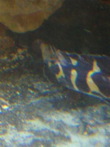 100220092099 (Large).jpg