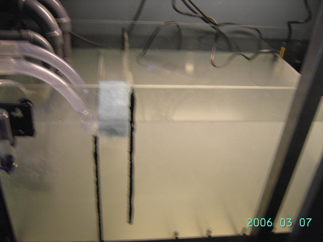 PICT0621.JPG