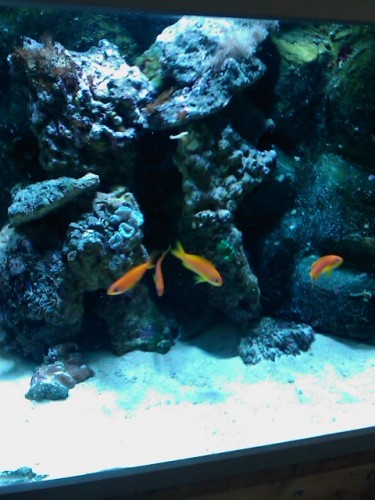 200902151510_157.jpg