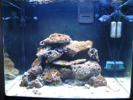 Så er der kommet levende sten i