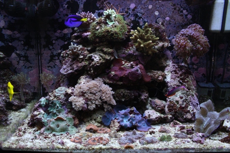 Sådan ser det ud nu, hvor vi har rykket lidt på stene