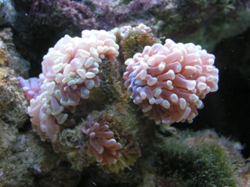 PICT0012.JPG