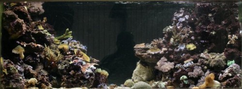 600 hqi total (Medium).jpg