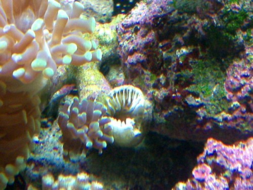 02032009019 (648 x 486)2.jpg