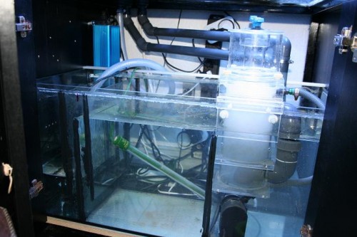 sump.JPG