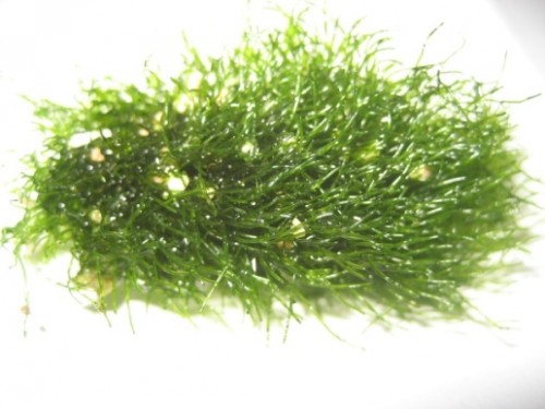 IMG_1625.jpg (97.91 KiB) Vist 2916 gange 4