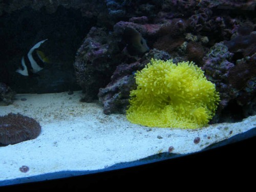 DSCF2226.jpg