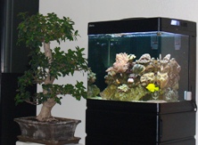 nymanns fisk 058.JPG