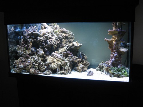 front1.jpg