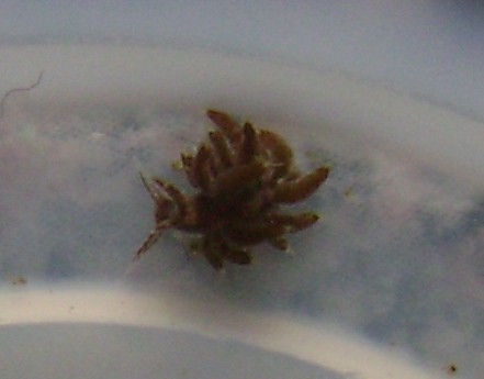DSC01772.JPG