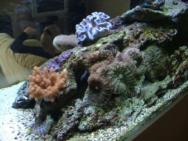 DSCF2236.JPG