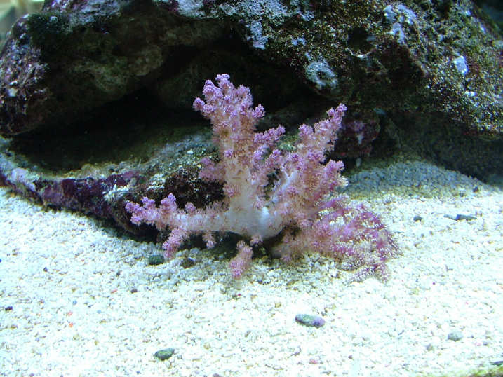 DSCF2235.JPG