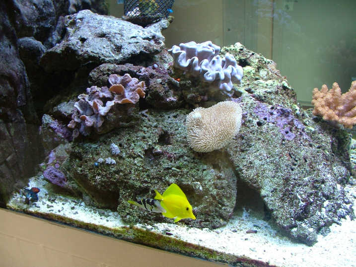 DSCF2230.JPG