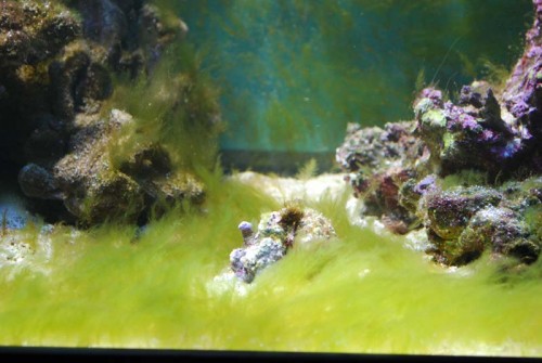 DSC_0174.jpg