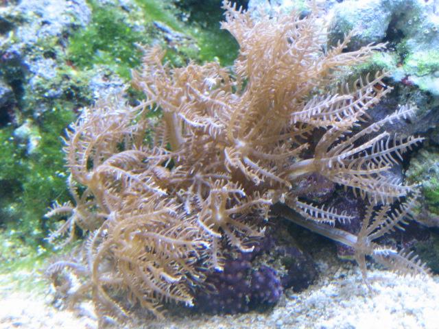 IMG_0426 (Small).JPG
