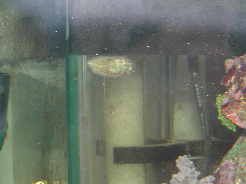 P1010006a.JPG