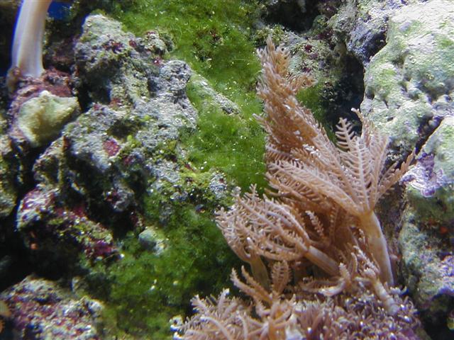 P1010025 (Small).JPG