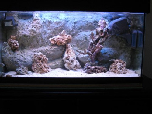 Billede 009 (Small).jpg