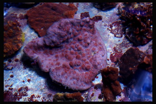 DSC_0004.JPG