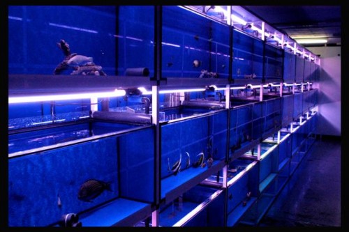 DecOcean (43).JPG