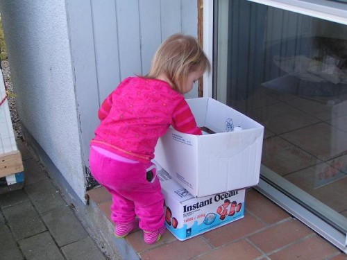 datteren kigger at det hele er der..