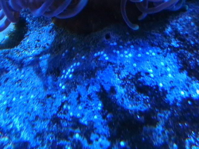 IMGA0030.JPG