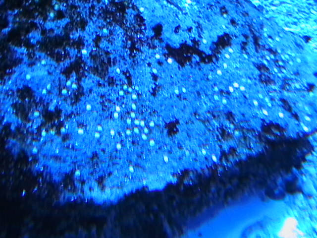 IMGA0031.JPG