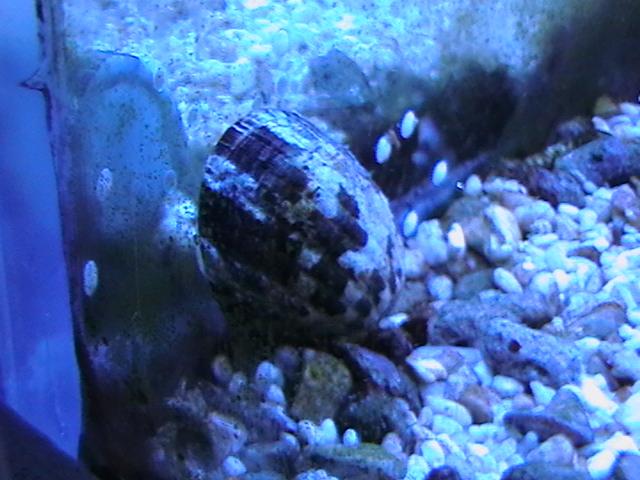 IMGA0033 (Small).JPG