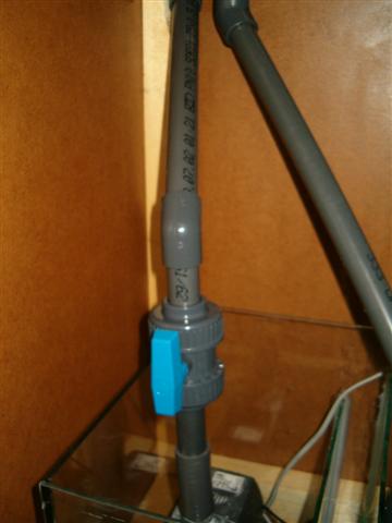 HPIM0414 (Small).JPG